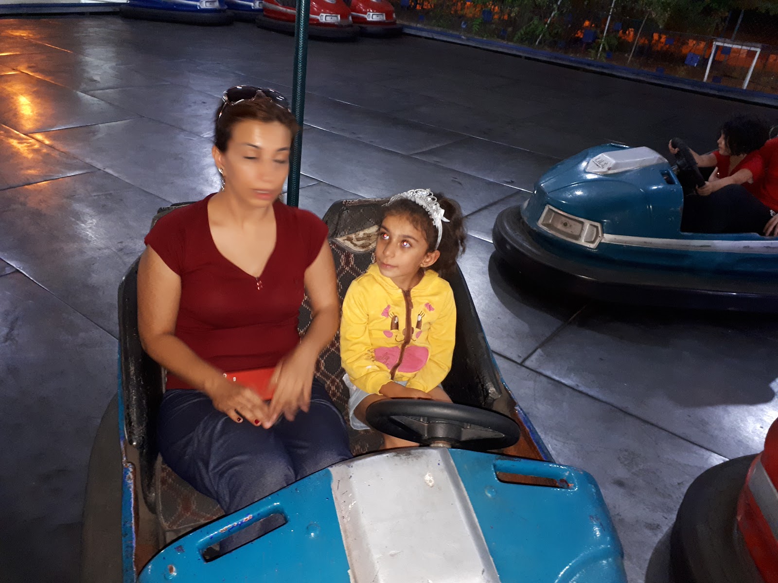 Doğal Park Kır Düğün Salonu — Battalgazi, Malatya kır düğünü mekanı görsel 9