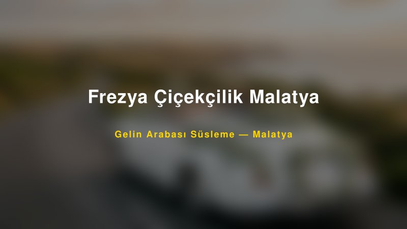 Frezya Çiçekçilik Malatya Malatya Gelin Arabası Süsleme