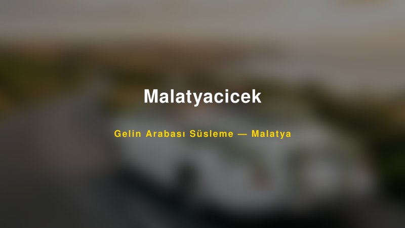 Malatyacicek Gelin Arabası Süsleme Fiyatları — 1
